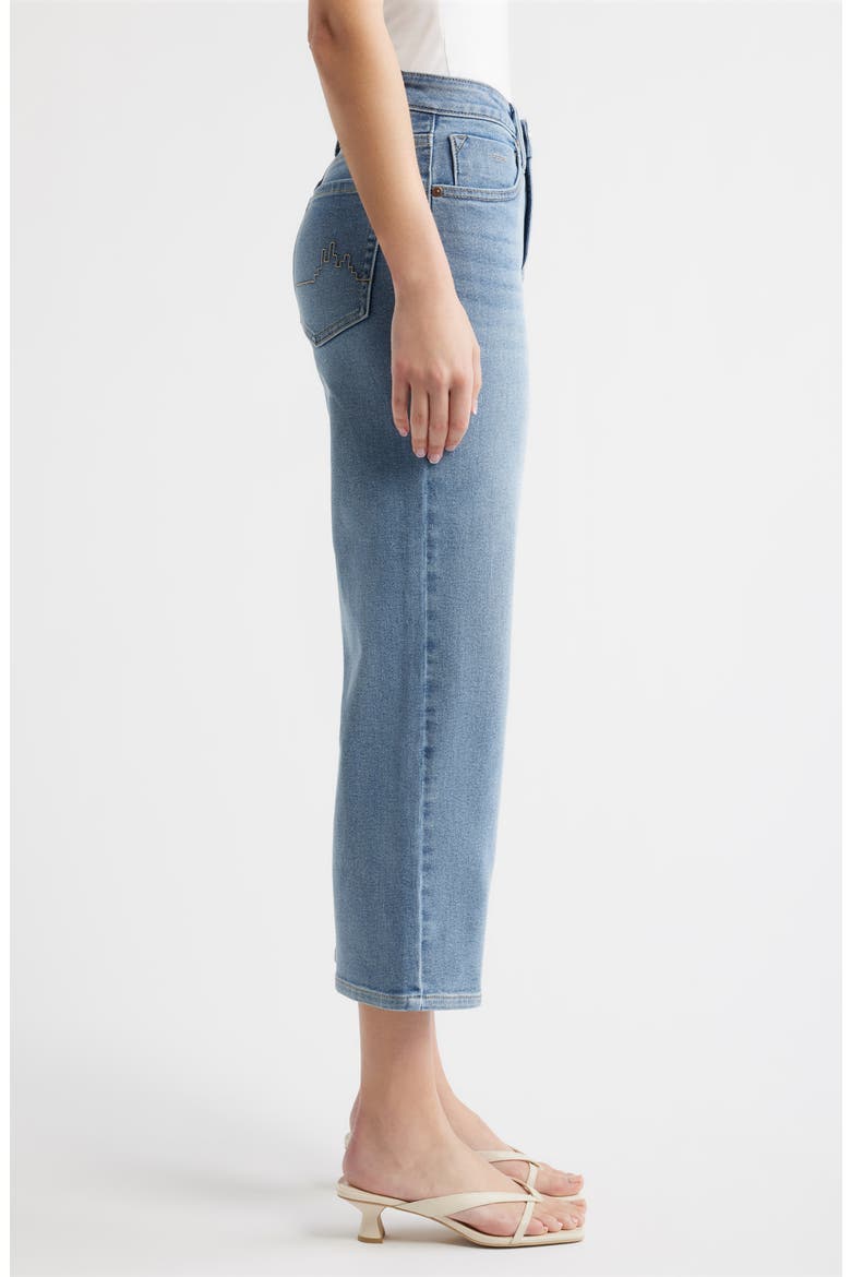 Dover Crop Straight Leg Jeans, Alternate, color, LIGHT AGED WASH