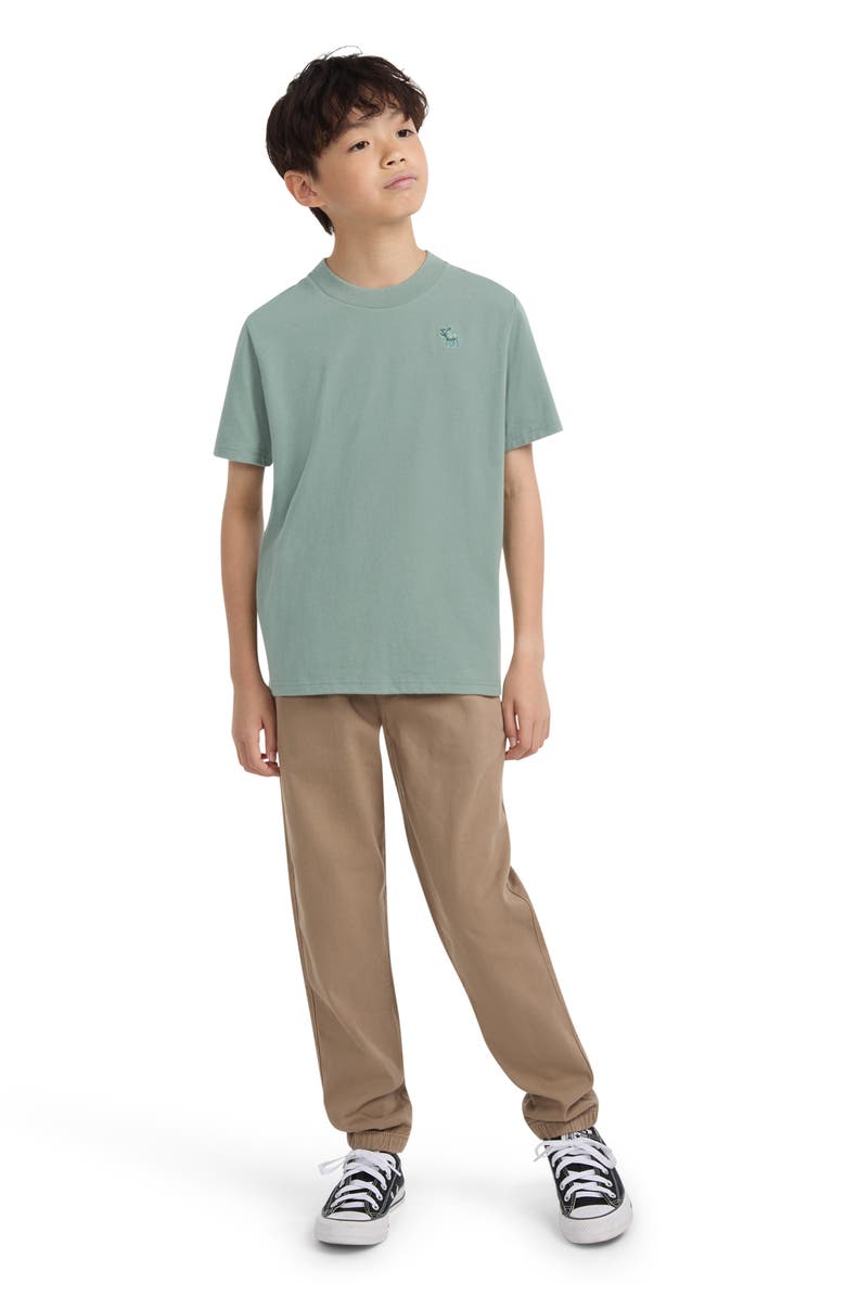abercrombie kids Kids' Essential Cotton Blend T-Shirt, Alternate, color, F9rchinois
