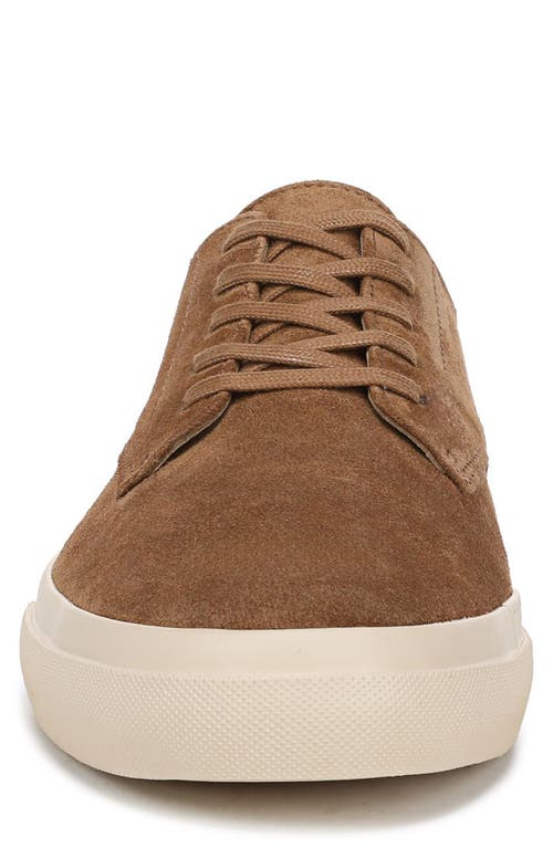 Vince Foresta Sneaker In Birchwood