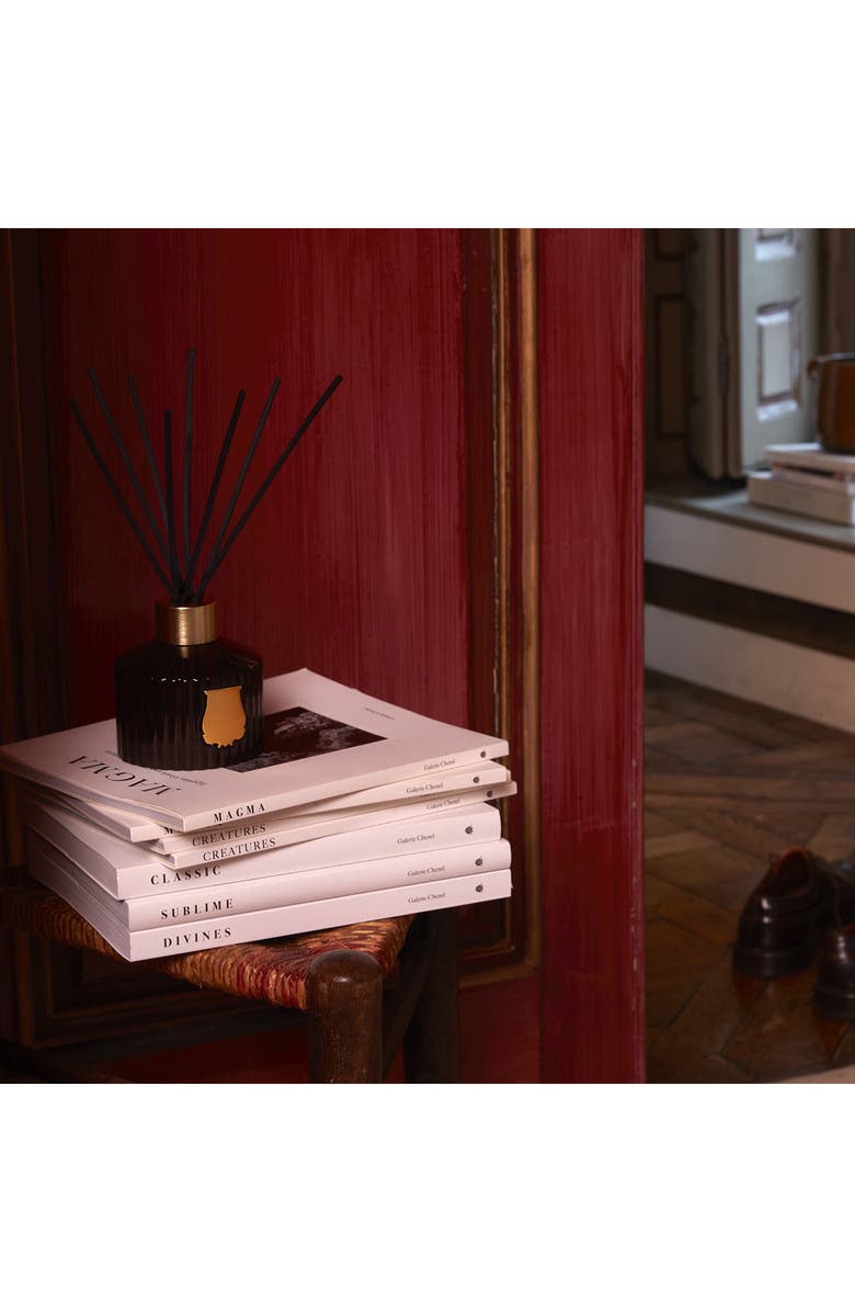 Trudon Cire Reed Diffuser, Alternate, color,