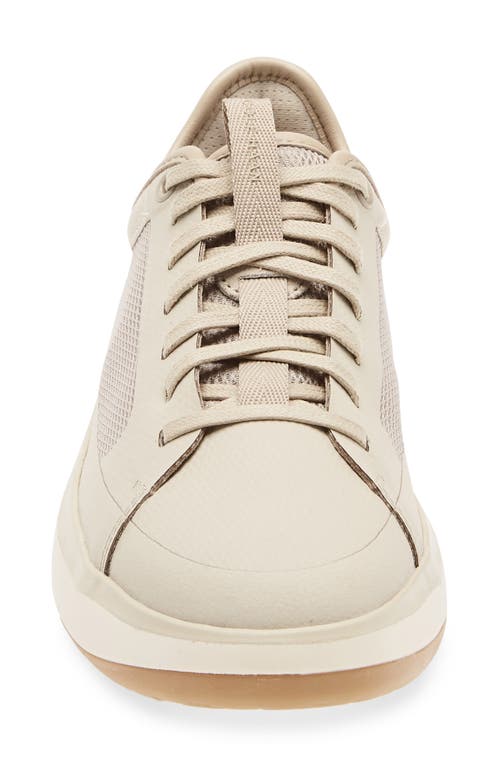 Cole Haan Grandpro All Day Court Sneaker In White