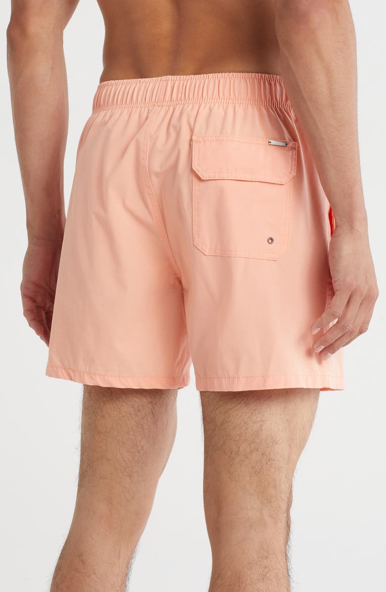 Vintage Summer Vintage Wash Volley Swim Shorts, Alternate, color, Orange