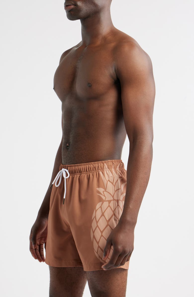 MAVRANS Sand Pineapple Waterproof Swim Trunks, Alternate, color, Brown