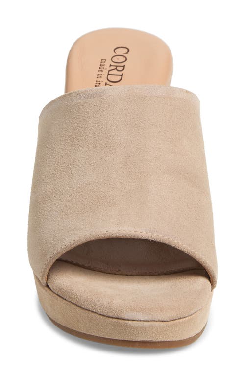 Cordani Vonnie Slide Sandal In Visone
