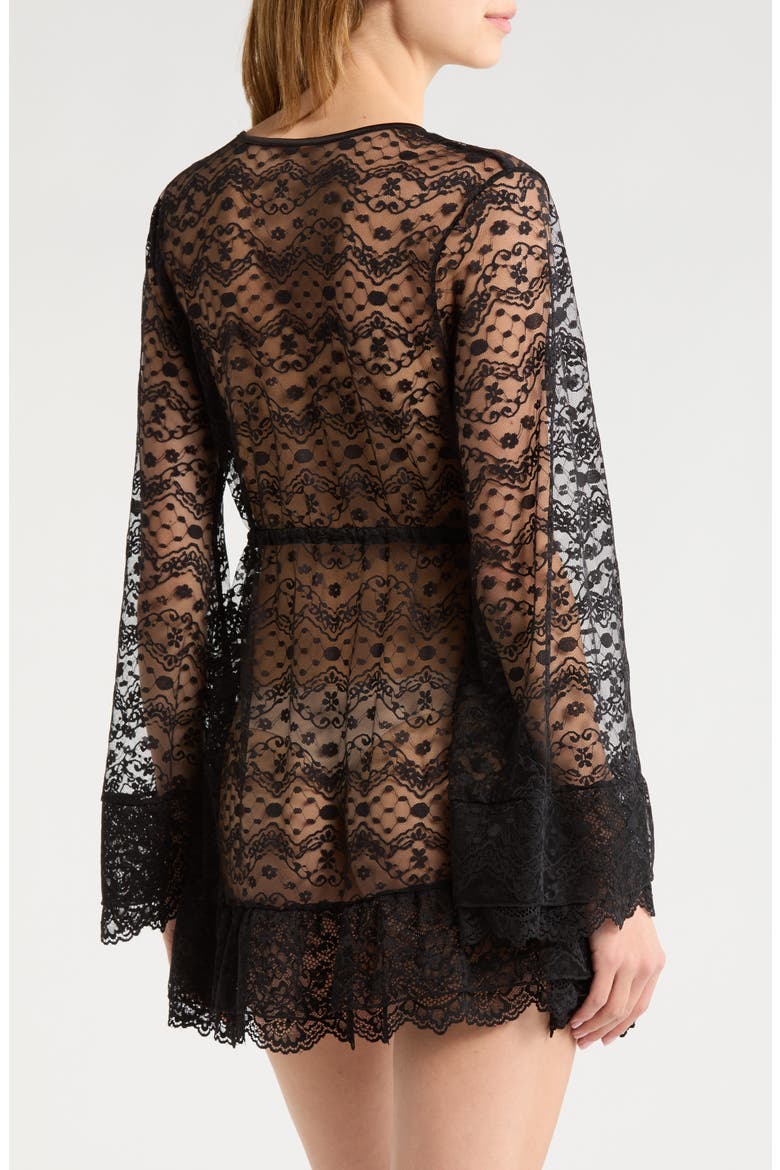 Embroidered Sheer Mesh Robe, Alternate, color, BLACK