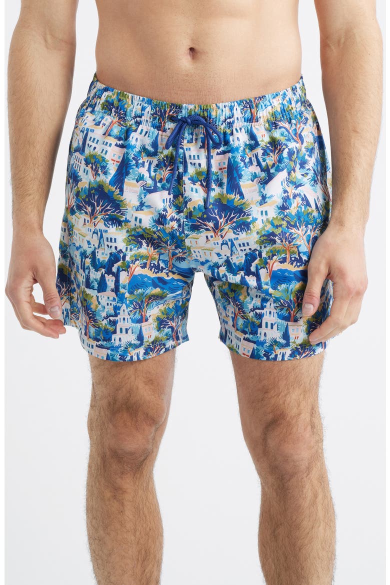 Printed Swim Trunks, Main, color, BLUE