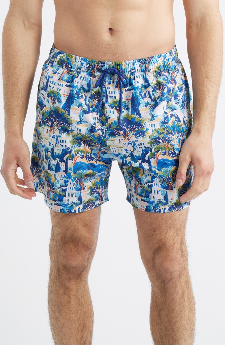 Boardies Printed Swim Trunks, Main, color, Blue