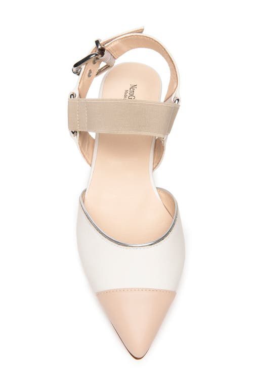 Nerogiardini Pointed Toe Flat