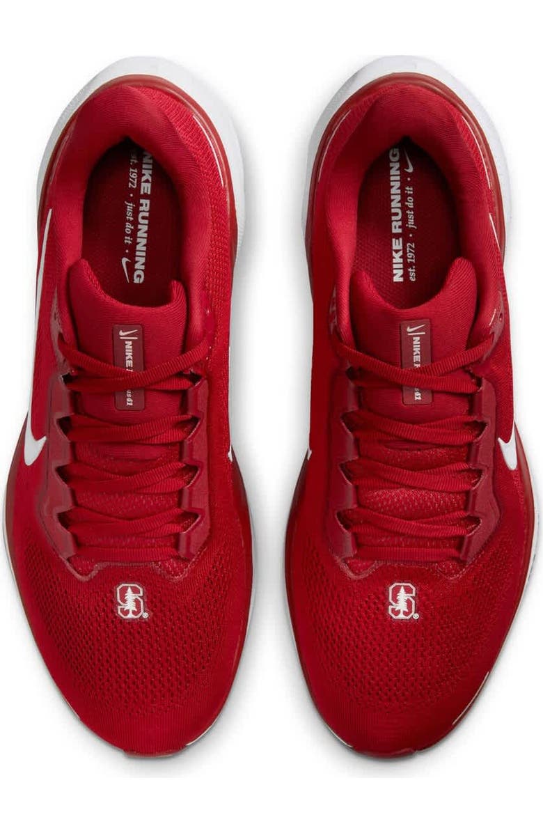 Nike Unisex Nike Cardinal Stanford Cardinal Zoom Pegasus 41 Running Shoes, Alternate, color,