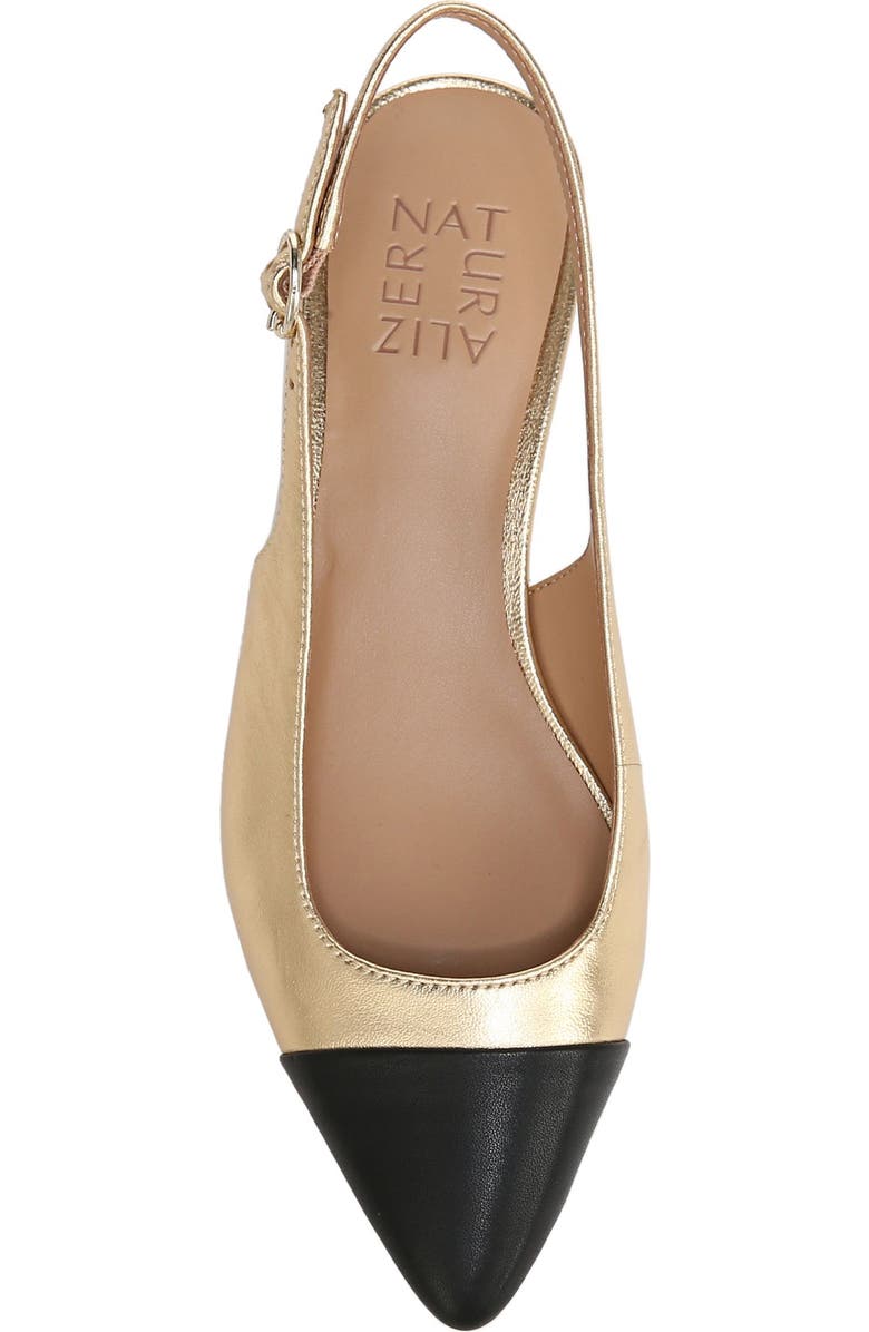 Naturalizer Banks Pointed Toe Slingback Pump, Alternate, color, Dark Gold Leather