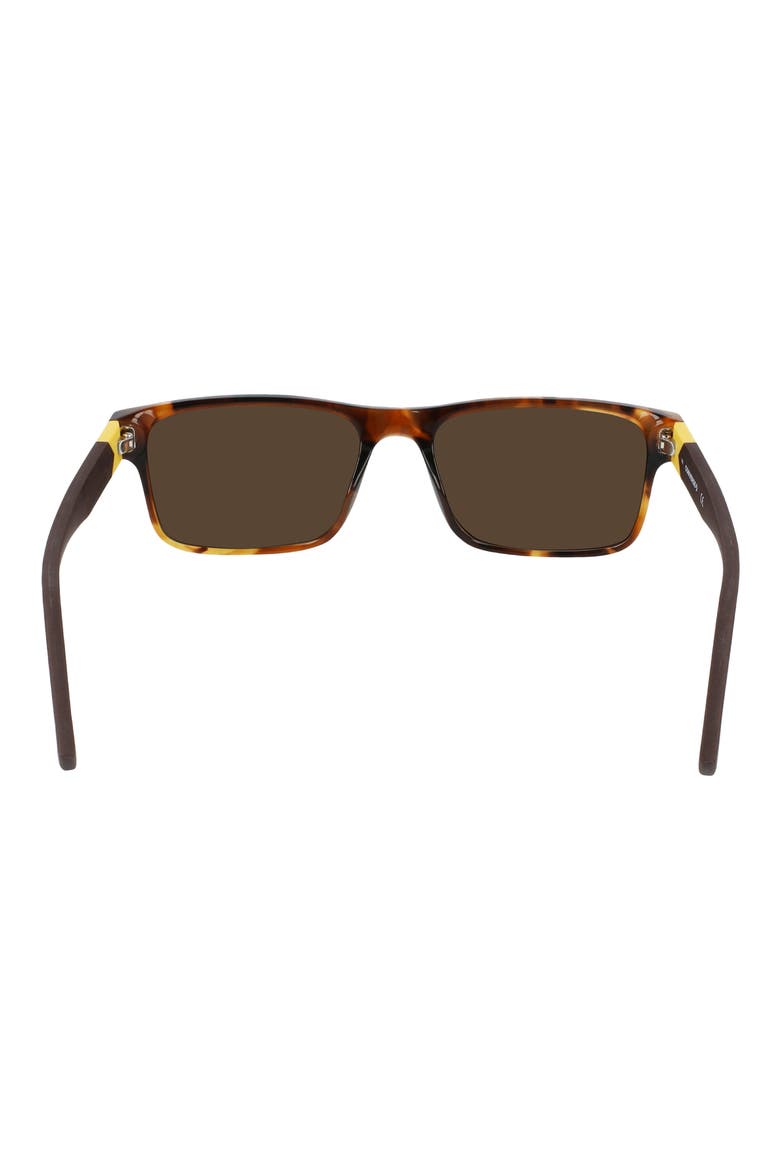 Rise Up 55mm Sunglasses, Alternate, color, AMBER TORTOISE