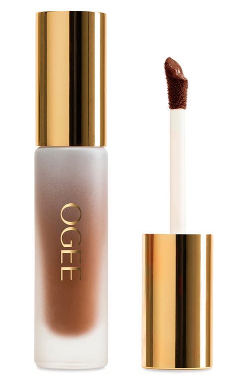 Ogee Complexion Perfecting Concealer In Brown