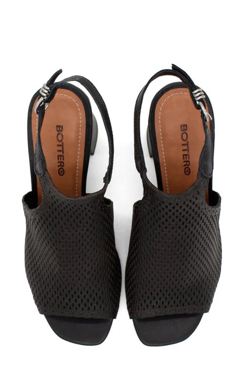 Bottero Botzahara Xxiv Slingback Sandal