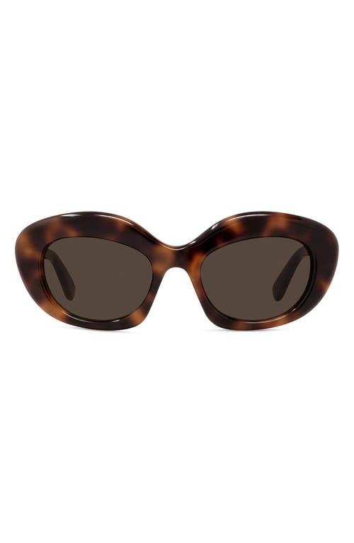 Loewe Curvy 51mm Cat Sunglasses In Brown