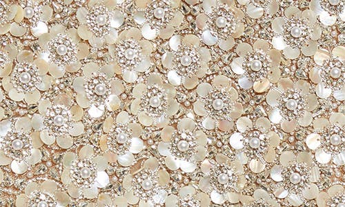 Oscar De La Renta Floral Embroidered Cape In Silver