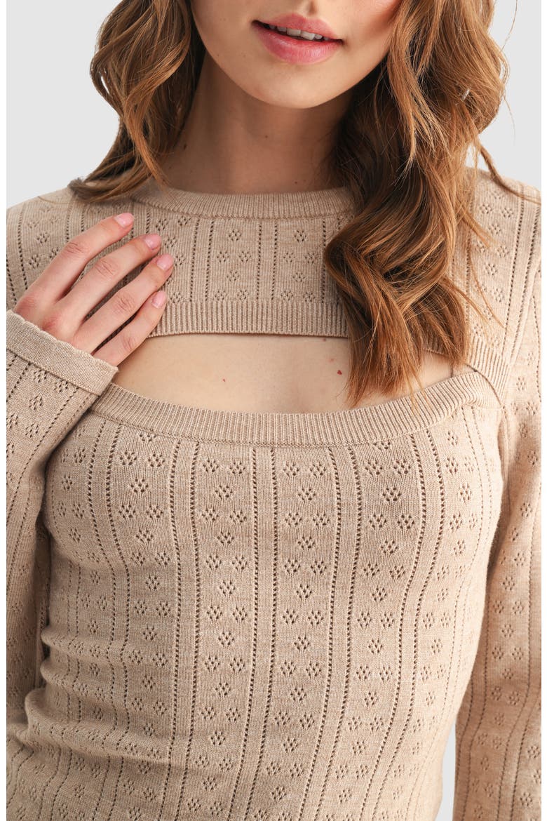 Cutout Detail Pointelle Sweater, Alternate, color, TAUPE