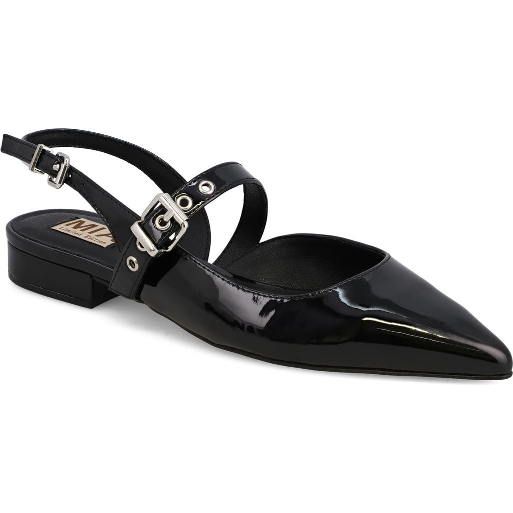 Mia Aree Pointed Toe Flat In Black