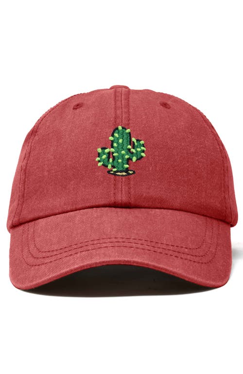 Dalix Cactus Embroidered Low Crown Cap In Washed Red