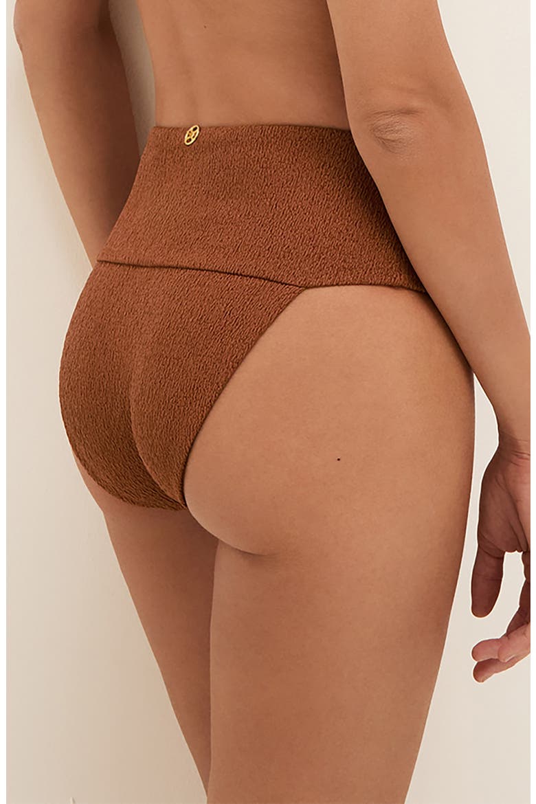 Firenze Jessica High Waist Swim Bottoms, Alternate, color, BROWN