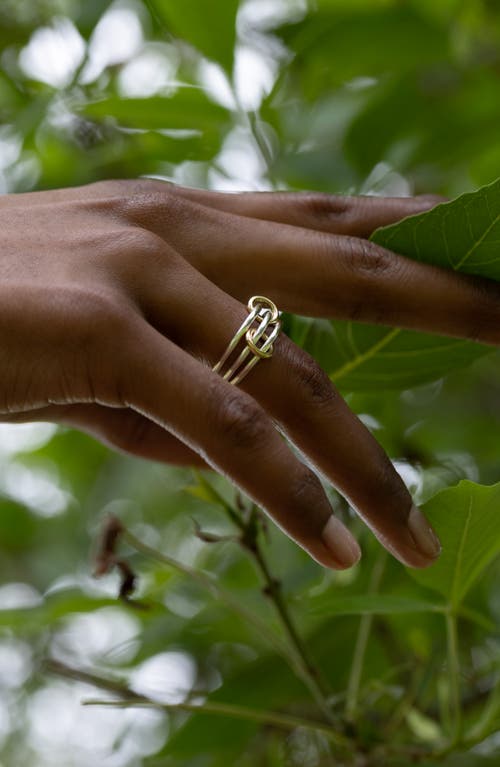 Spinelli Kilcollin Solarium Linked Rings In Multi