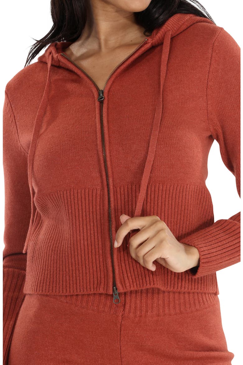 Spice It Up Hoodie, Alternate, color, COPPER