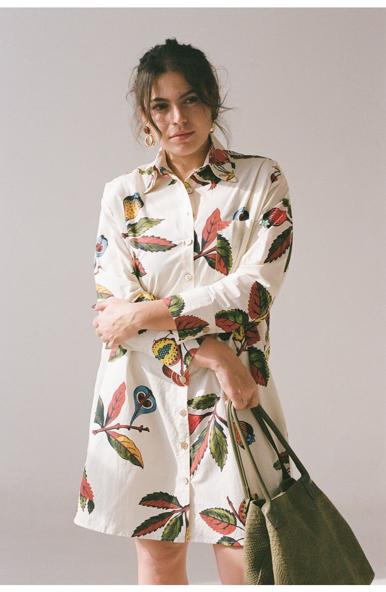 WRAY Etore Shirt Dress, Alternate, color, 