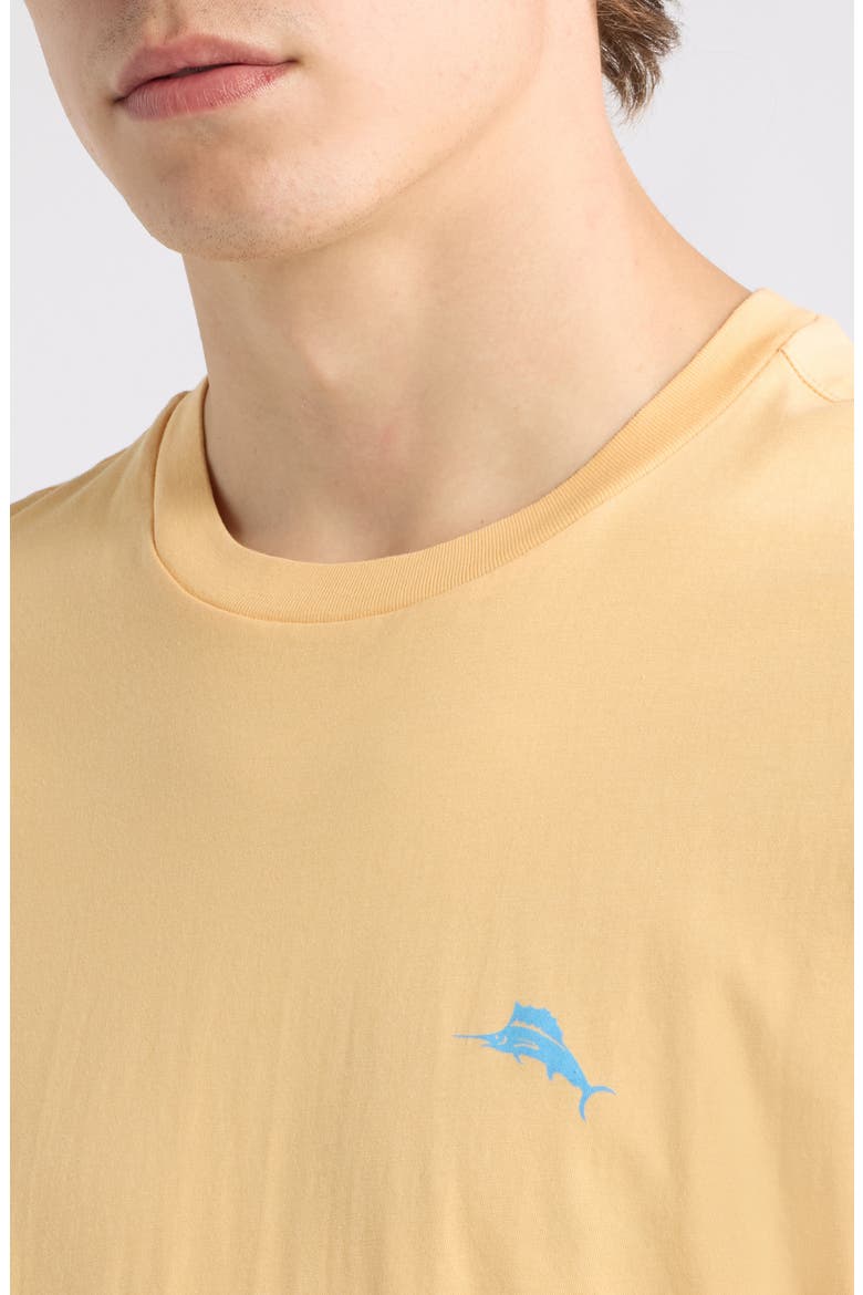Tropic Block Cotton T-Shirt, Alternate, color, APRICOT CREAM