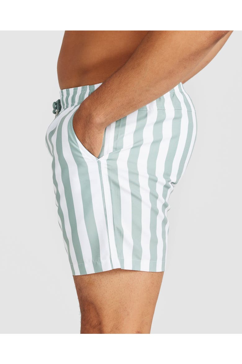 Naxos Swim Short, Alternate, color, Sage Green & White Stripe