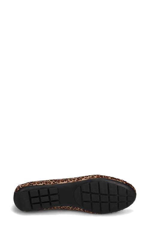 Vaneli Aiker Driving Loafer In Brown