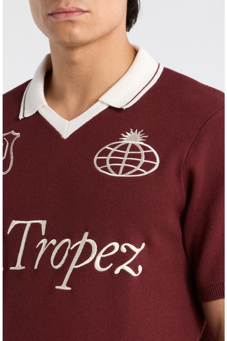 Club Embroidered Johnny Collar Knit Jersey Polo, Alternate, color, BURGUNDY