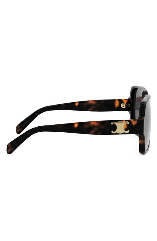 Celine Cl40316u Triomphe 52a Havana Sunglasses In Black