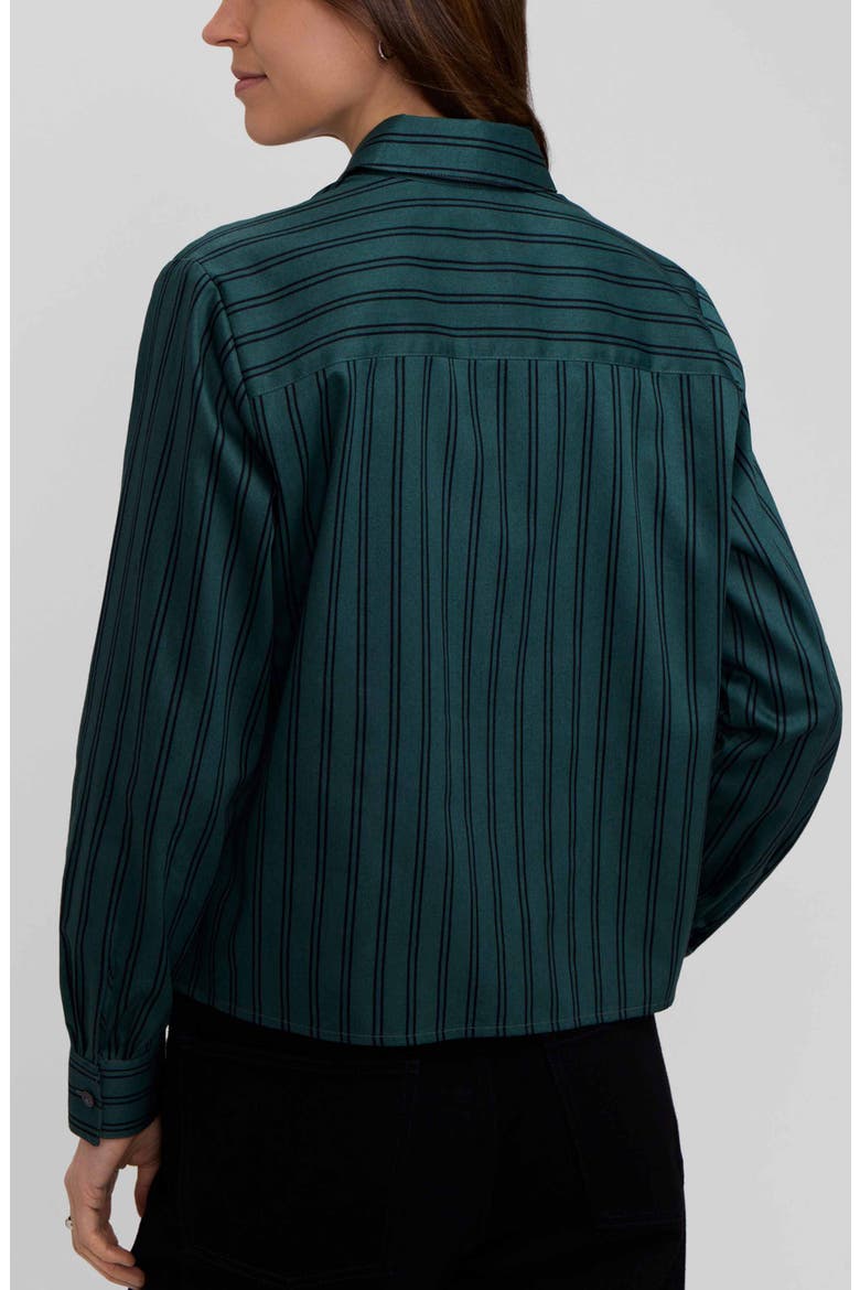 Jodie Stripe Cotton Button-Up Shirt, Alternate, color, DEEP TEAL GREEN/ BLACK