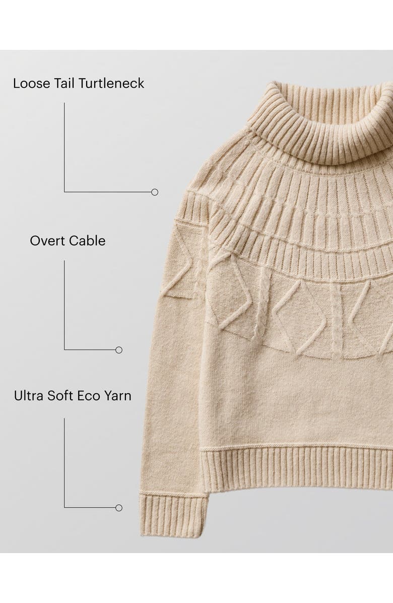 Carve Designs Neve Fairisle Turtleneck, Alternate, color, Birch Fairisle