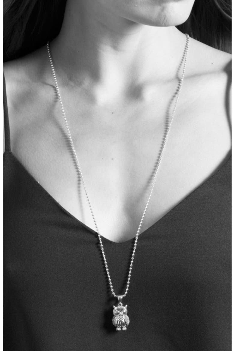'Rare Wonders - Owl' Long Talisman Necklace, Alternate, color, SILVER/ OWL