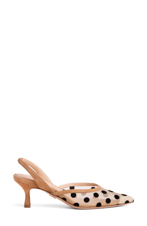 Beautiisoles Flores Slingback Kitten Heel Pump In Brown