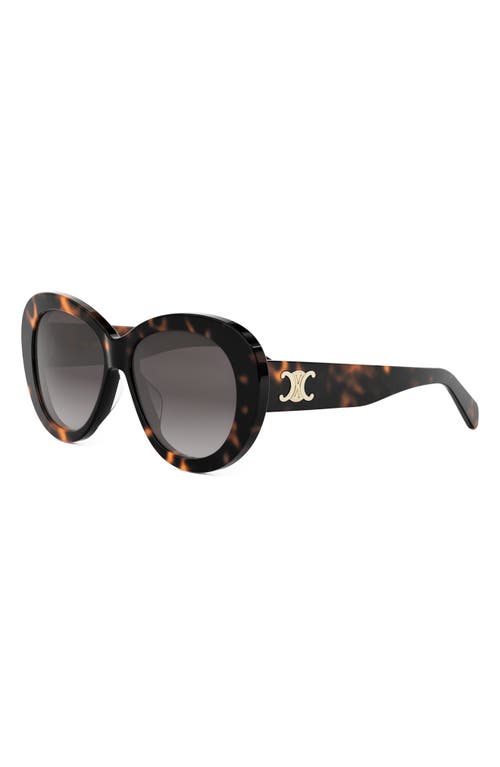 Celine Triomphe Logo Oval Acetate Sunglasses