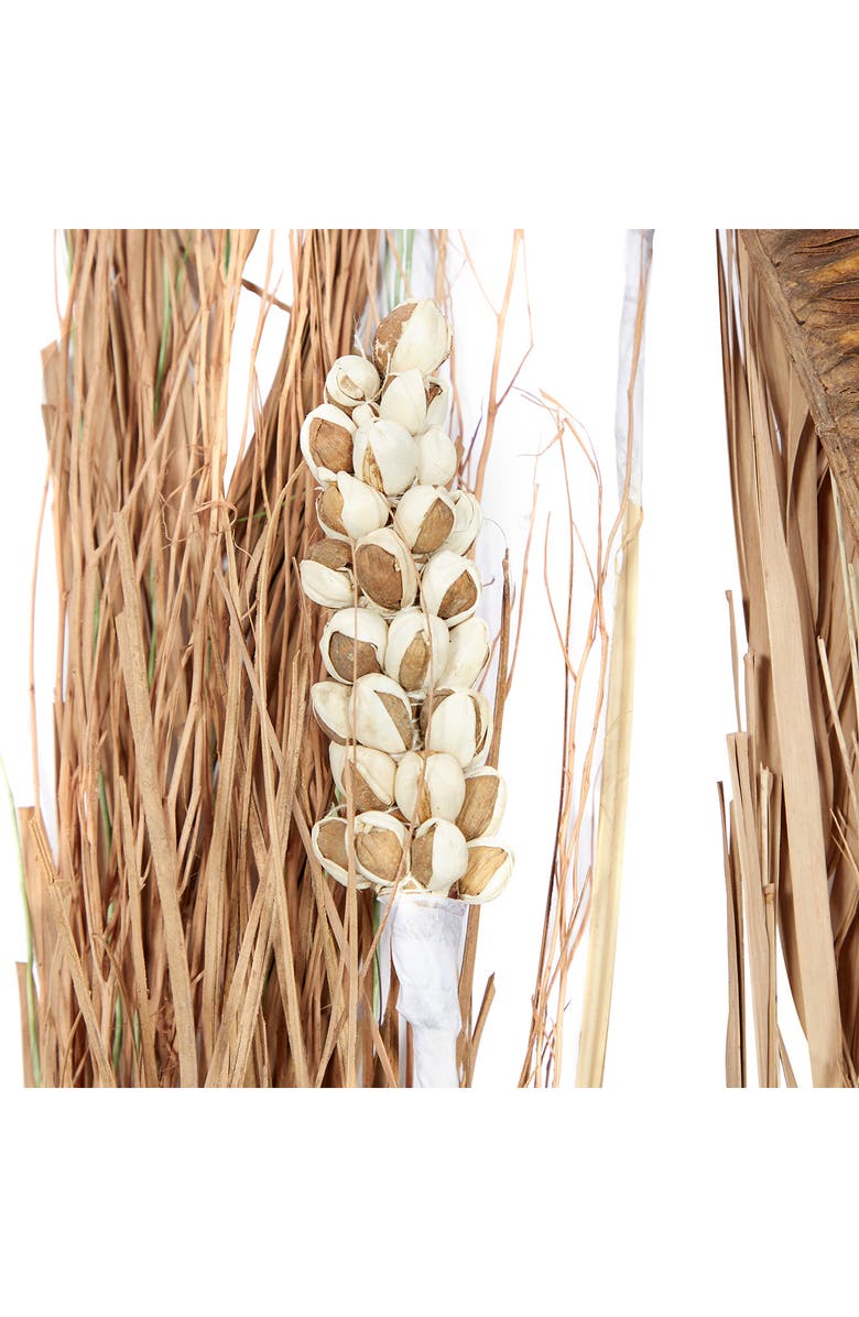 SONOMA SAGE HOME Brown Dried Plant Pigeon Pea Natural Foliage - Set of 2, Alternate, color, Brown