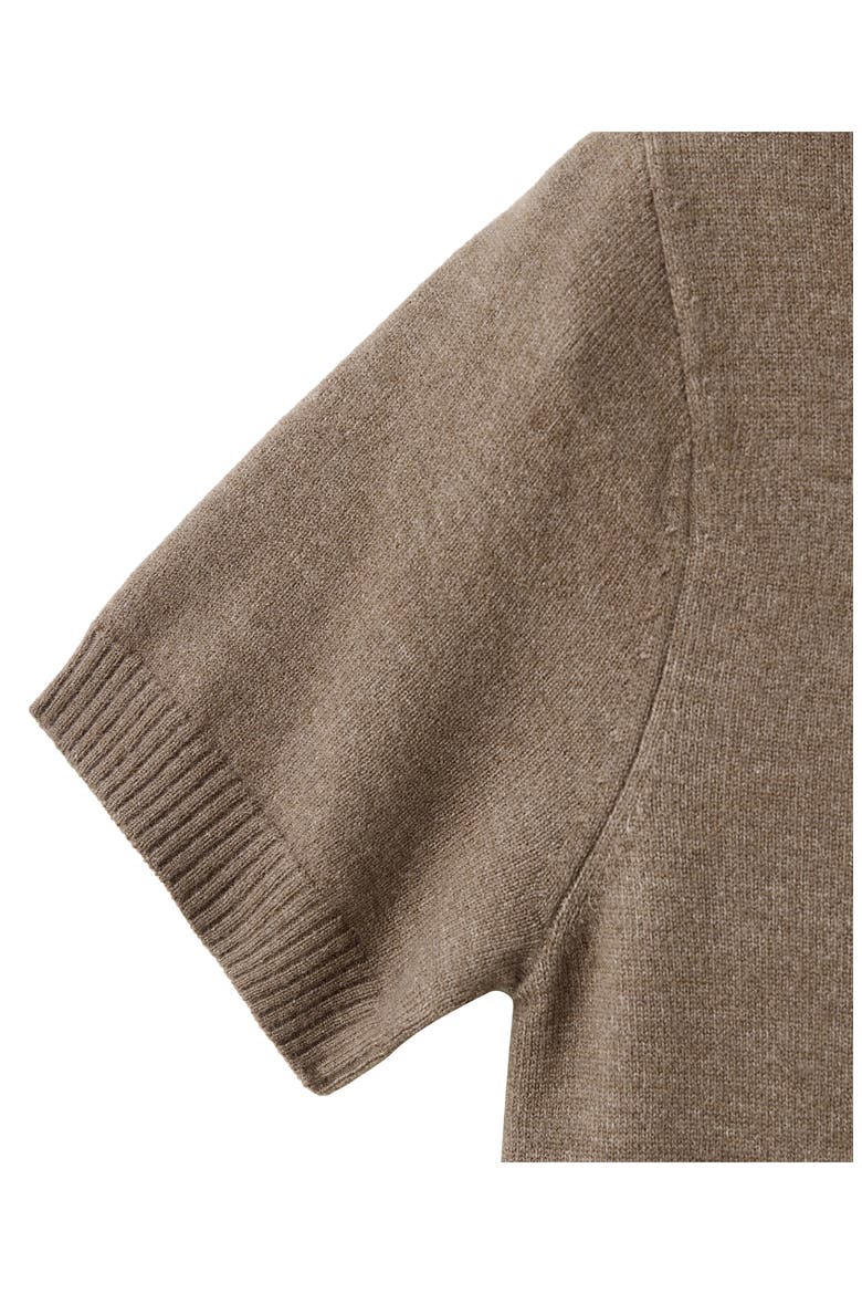 Nekanu Crewneck Fine Knit Minidress, Alternate, color, MEDIUM BROWN