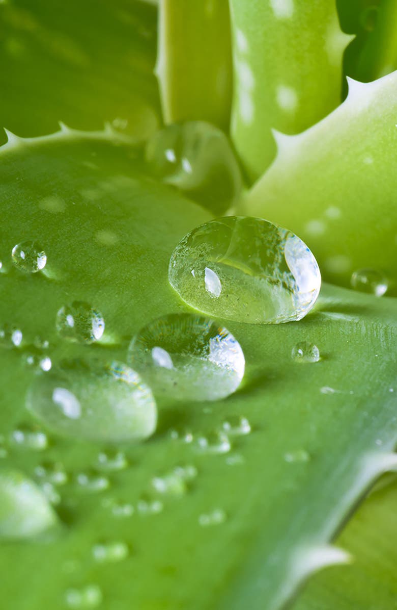 basq NYC Cooling Body Bliss, Alternate, color, White