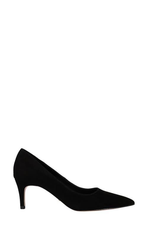 Pelle Moda Lailoni Pointed Toe Pump In Black