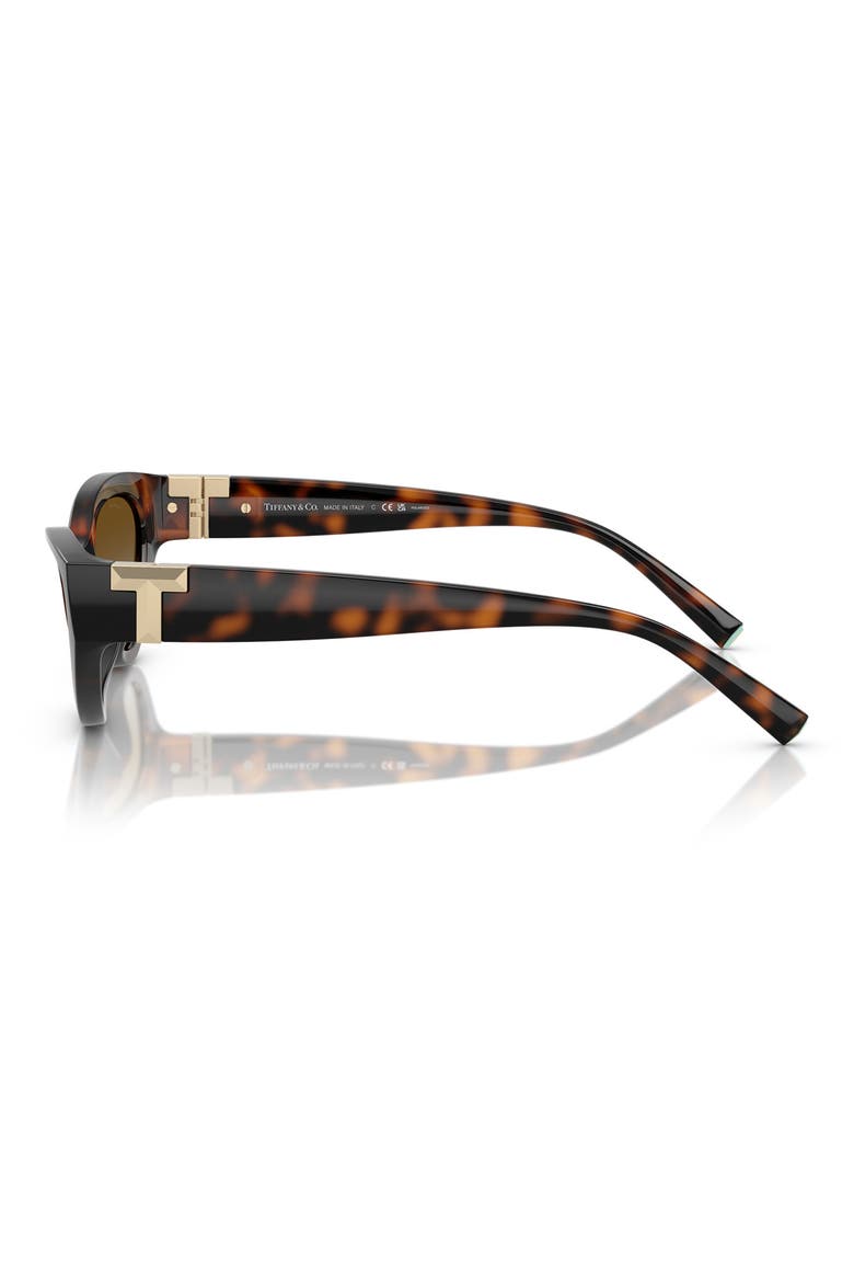54mm Polarized Gradient Oval Sunglasses, Alternate, color, HAVANA