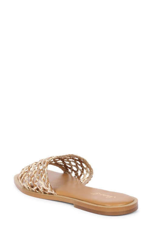Saint G Jade Woven Slide Sandal In Tan Multi