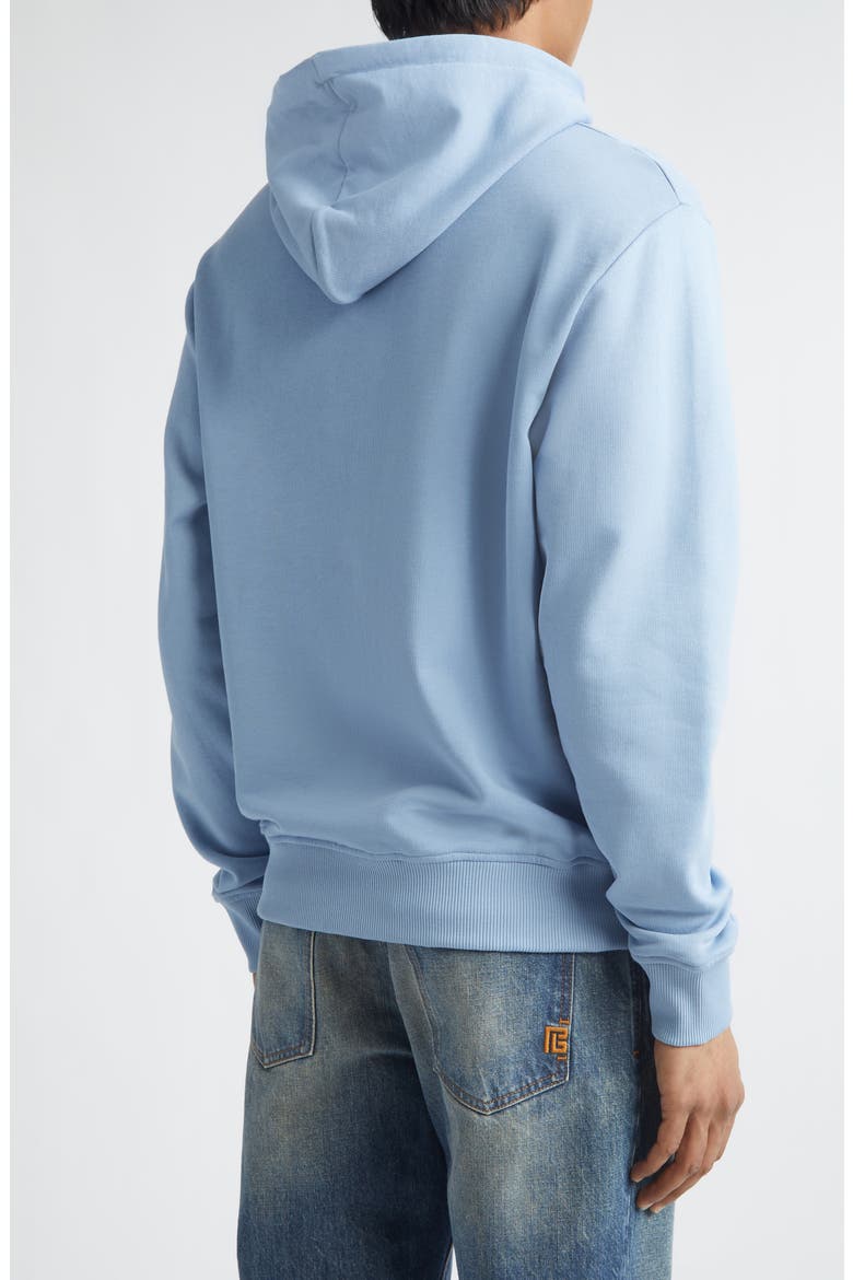Organic Cotton Logo Graphic Hoodie, Alternate, color, SLJ PALE BLUE/ WHITE
