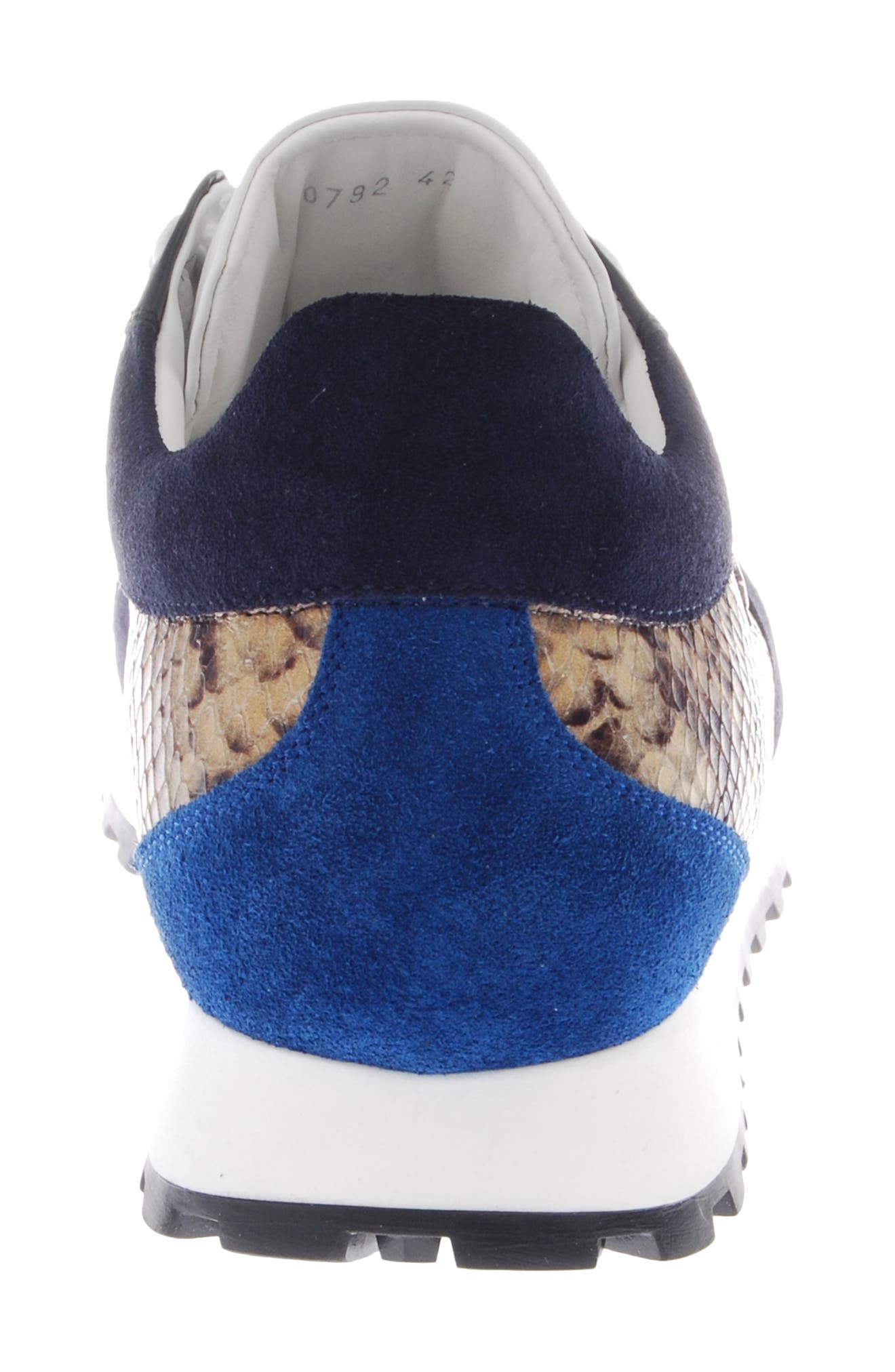 Roberto Cavalli Snake Print Sneaker, Alternate, color, 