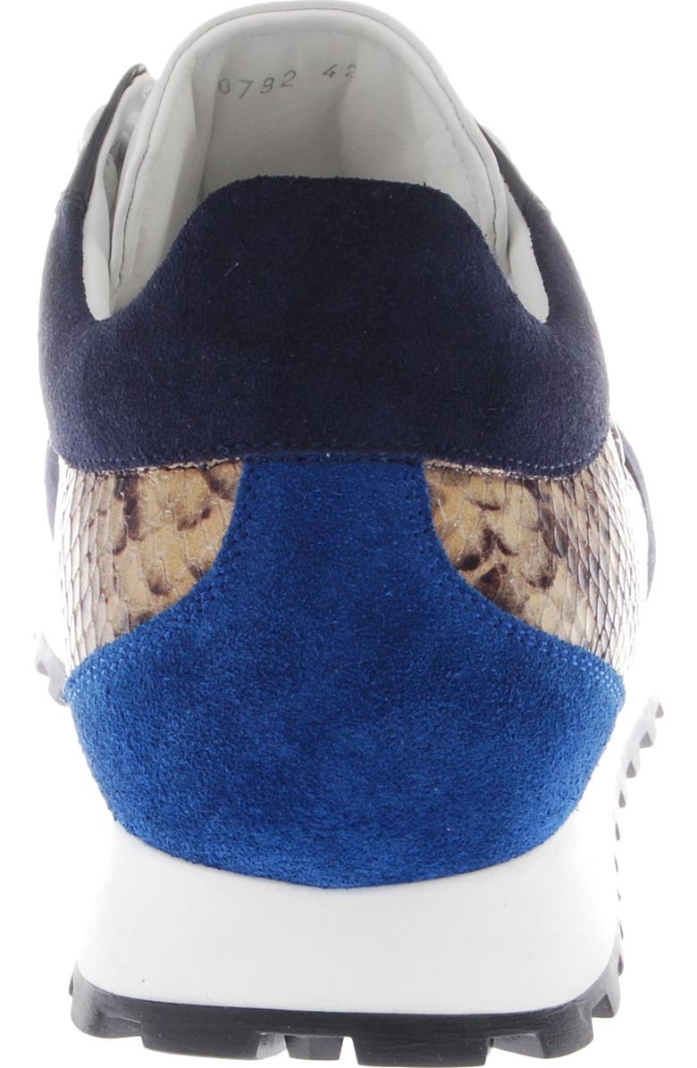 Roberto Cavalli Snake Print Sneaker, Alternate, color,