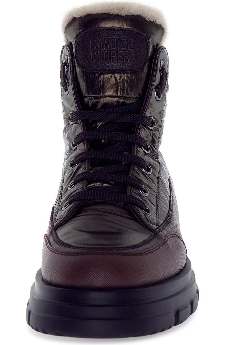 Candice Cooper Chado Genuine Shearling Lined Hiking Boot, Alternate, color,