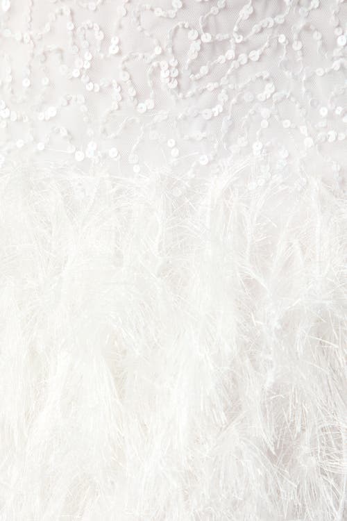 Coast Embellished Feather Bridal Mini Dress In White