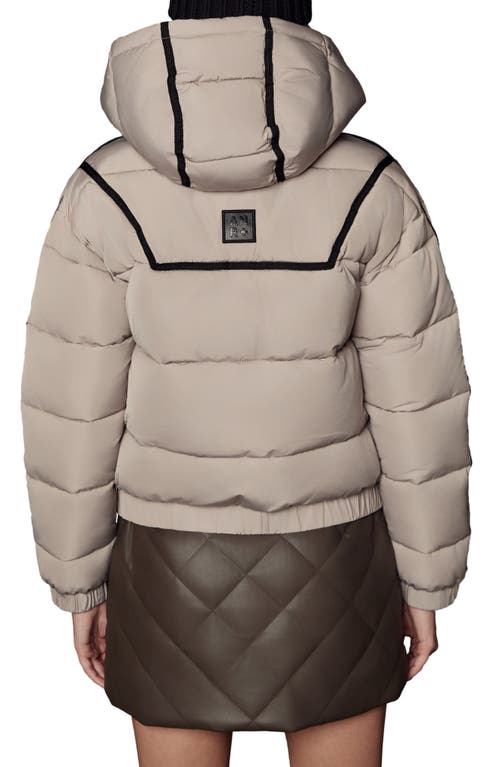 Alp N Rock Whitney Water Repellent Hooded Puffer Jacket In Gray