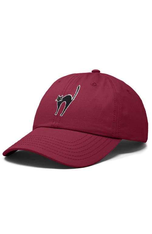 Shop Dalix Black Cat Embroidered Casual Hat In Maroon