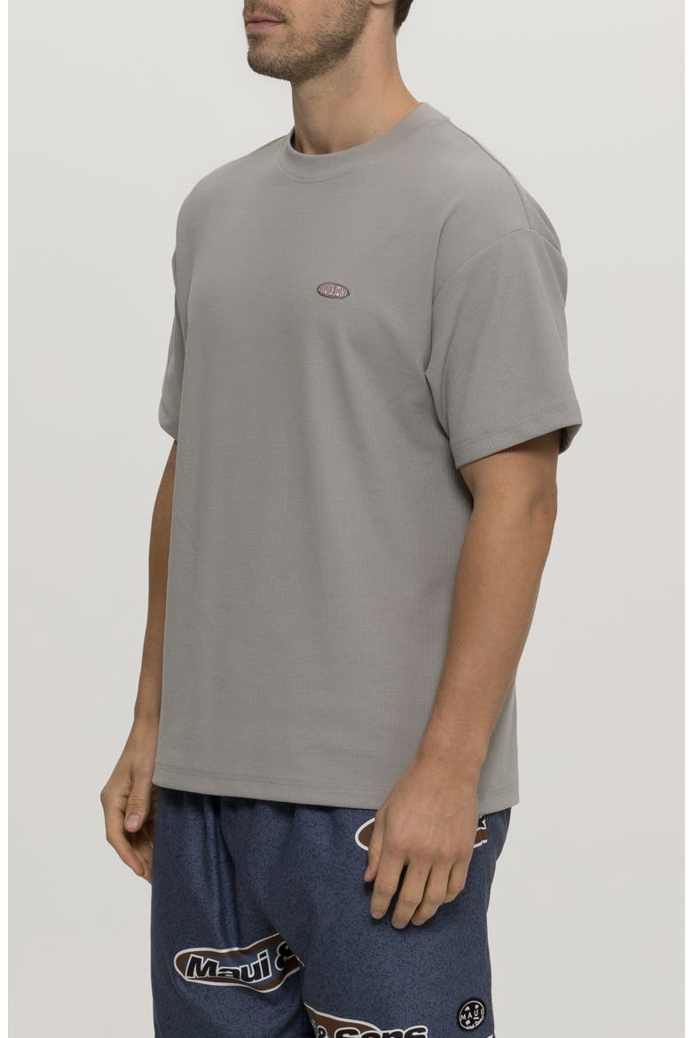 Surface Oversize Ribbed Cotton T-Shirt, Alternate, color, GREY